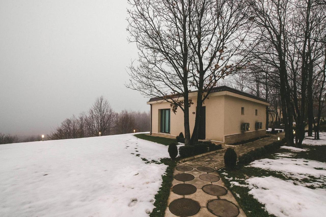 Hotel Villa Ekaterina Vakarel Exteriér fotografie